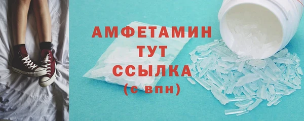 прущие грибы Краснотурьинск
