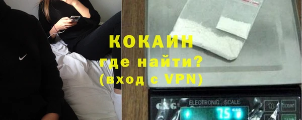 прущие грибы Краснотурьинск