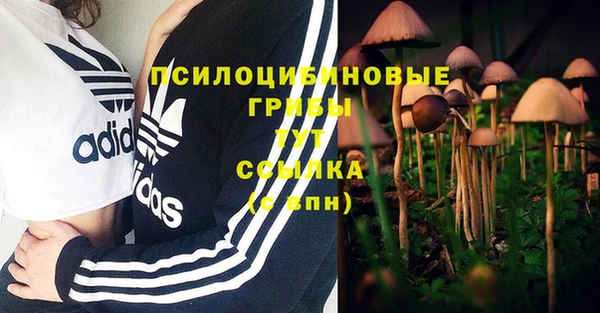 прущие грибы Краснотурьинск