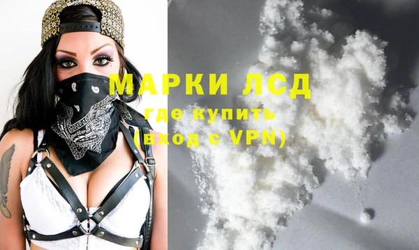 прущие грибы Краснотурьинск