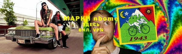прущие грибы Краснотурьинск