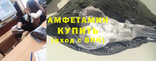 прущие грибы Краснотурьинск