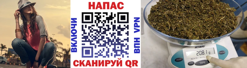 Канабис конопля  Красково 